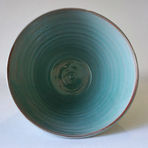 Turquoise bowl from above on a white background